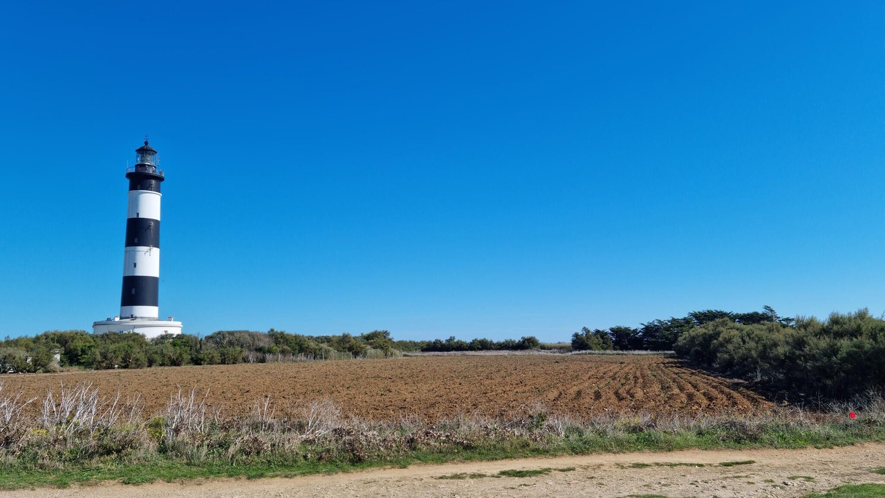 Photo of Others in Dolus-d'Oleron