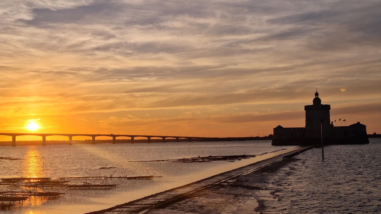 Photo of Others in Dolus-d'Oleron