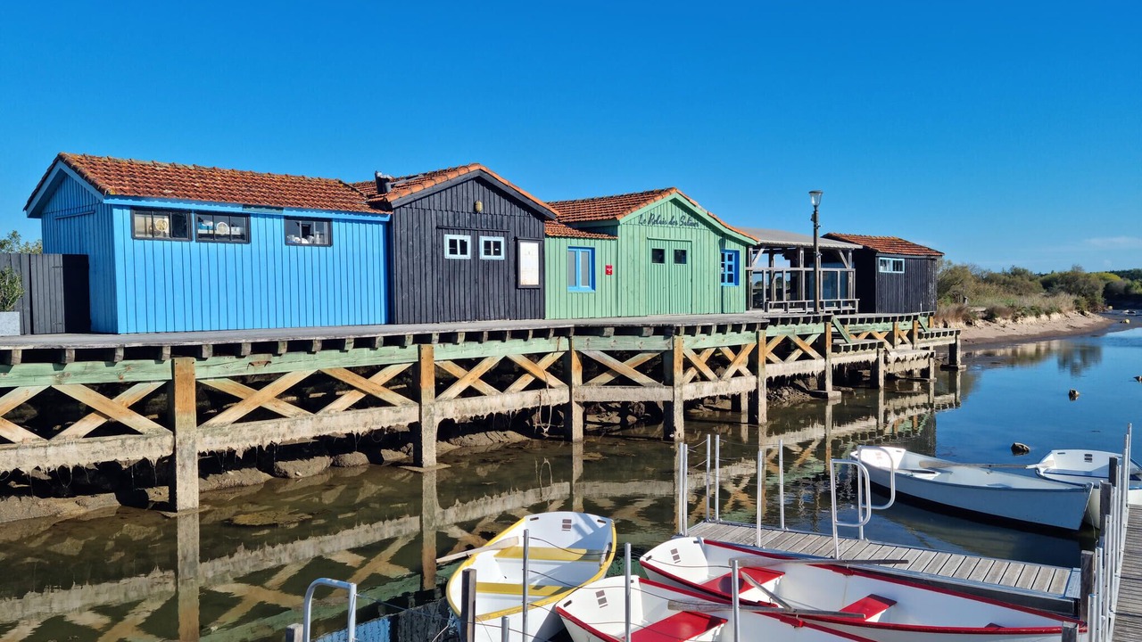 Photo of Others in Dolus-d'Oleron