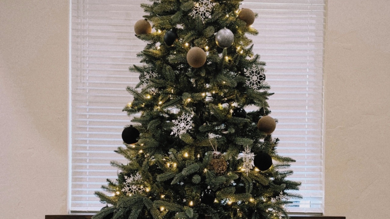 Photo of Others in Castle Rock