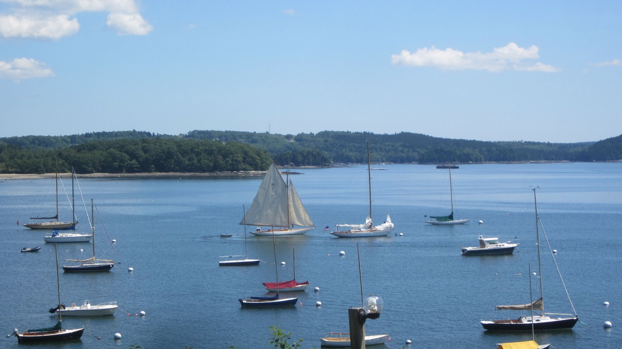 Photo of Others in Castine