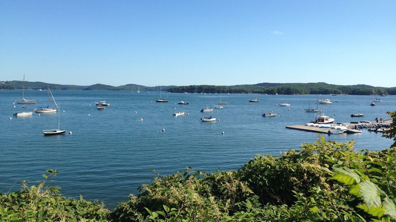 Photo of Others in Castine