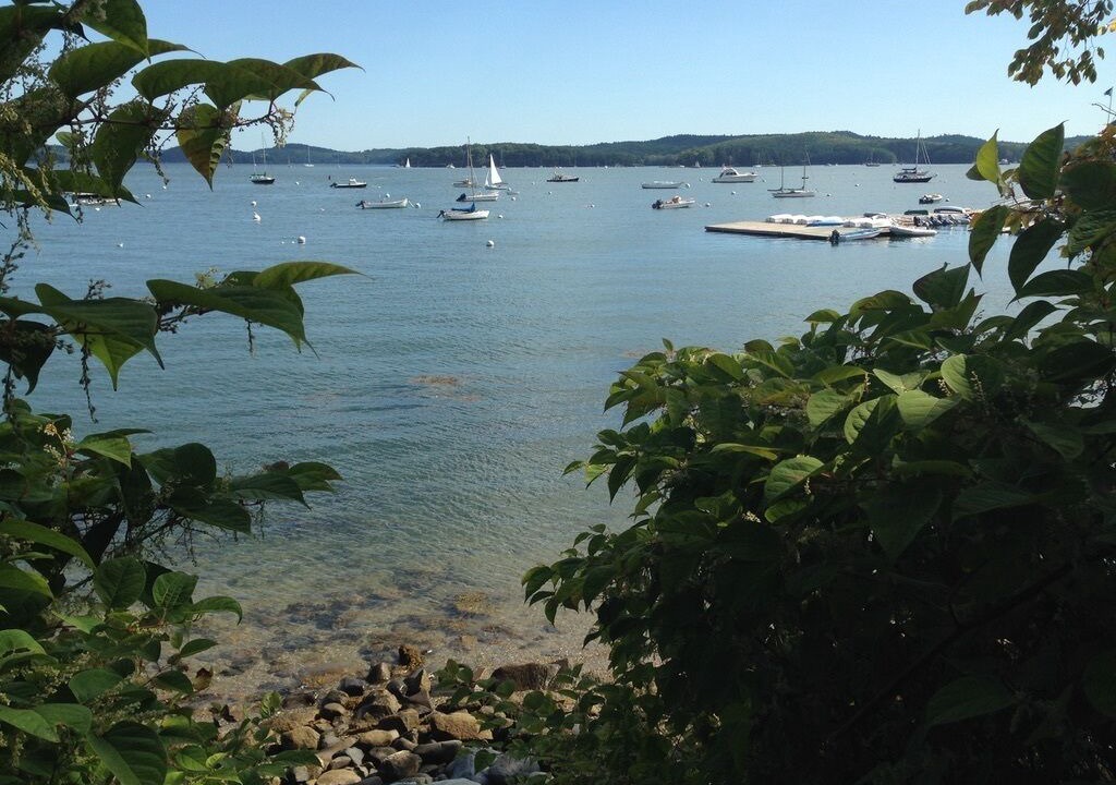 Photo of Others in Castine