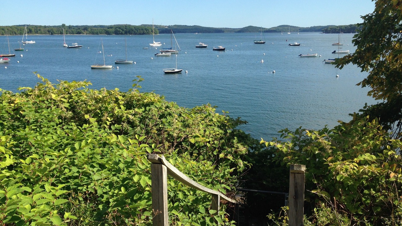 Photo of Others in Castine