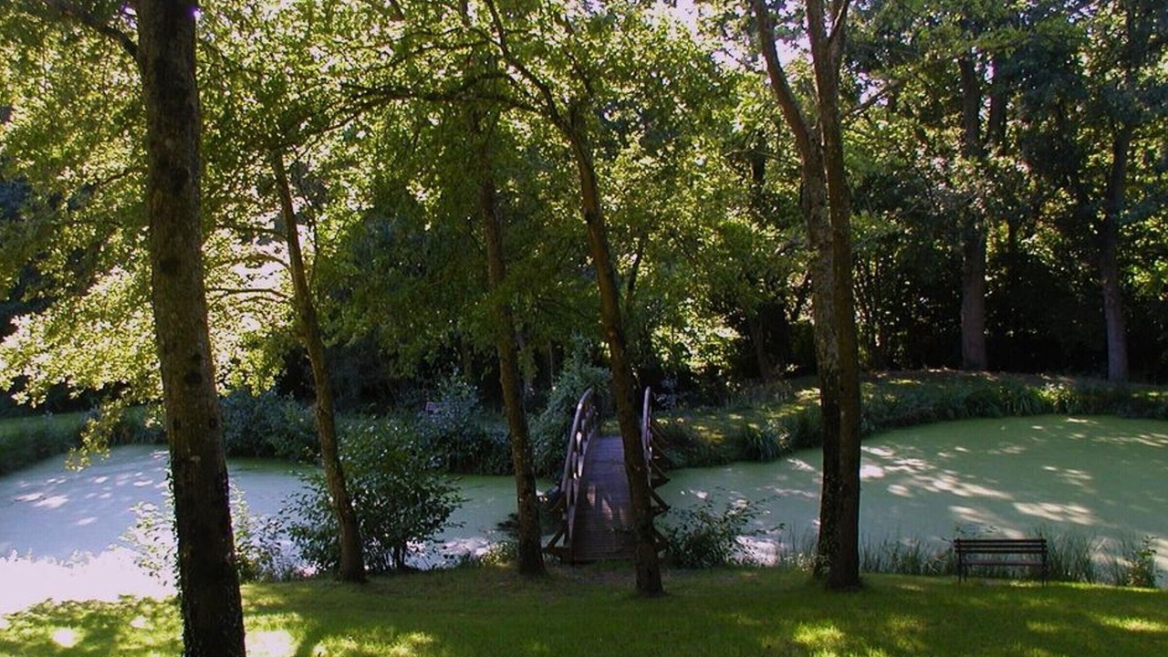 Photo of Outdoor in Saint-Martin-d'Abbat