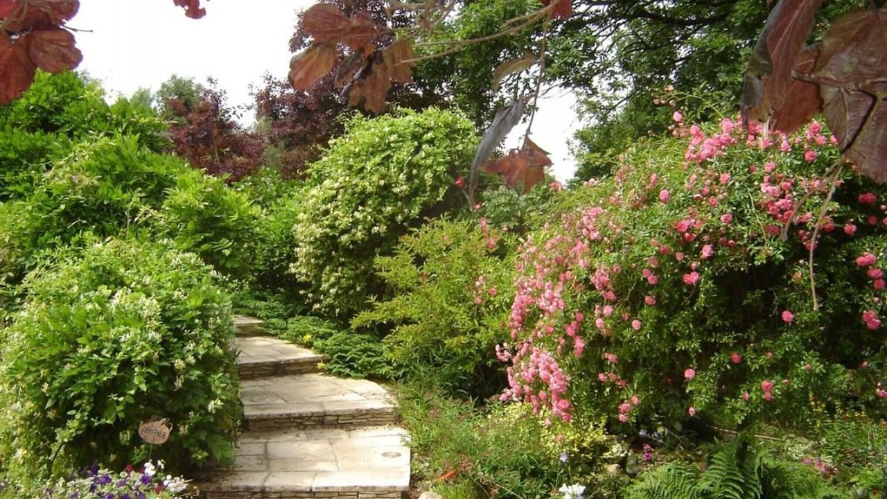 Photo of Outdoor in Saint-Martin-d'Abbat