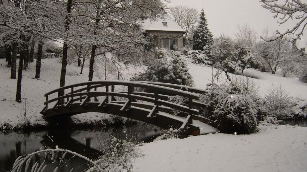 Photo of Others in Saint-Martin-d'Abbat