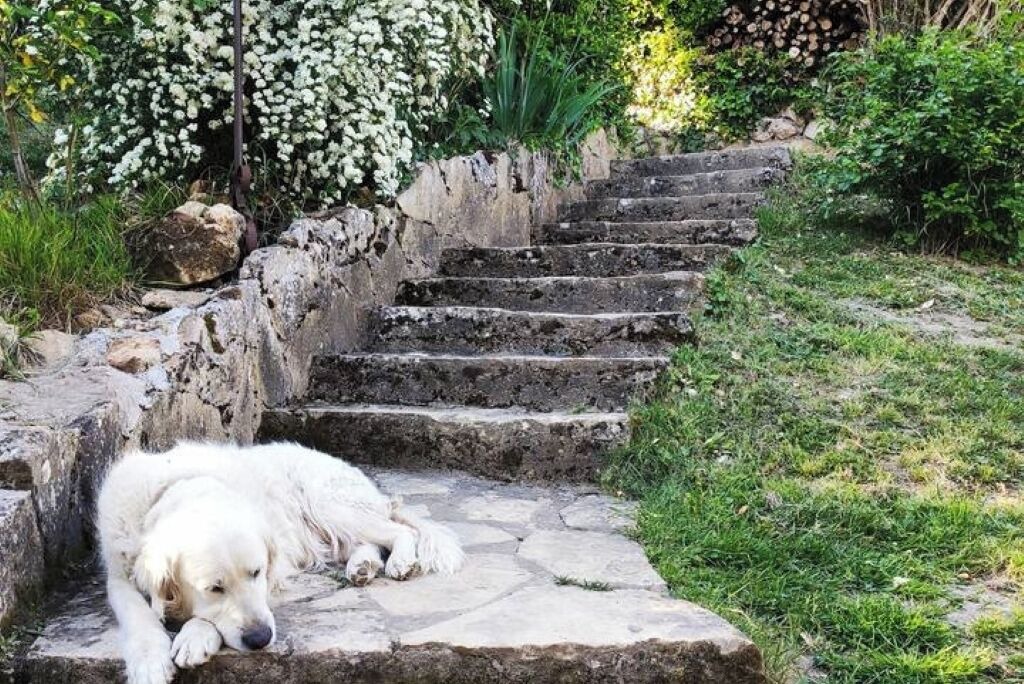 Photo of Outdoor in Lalinde