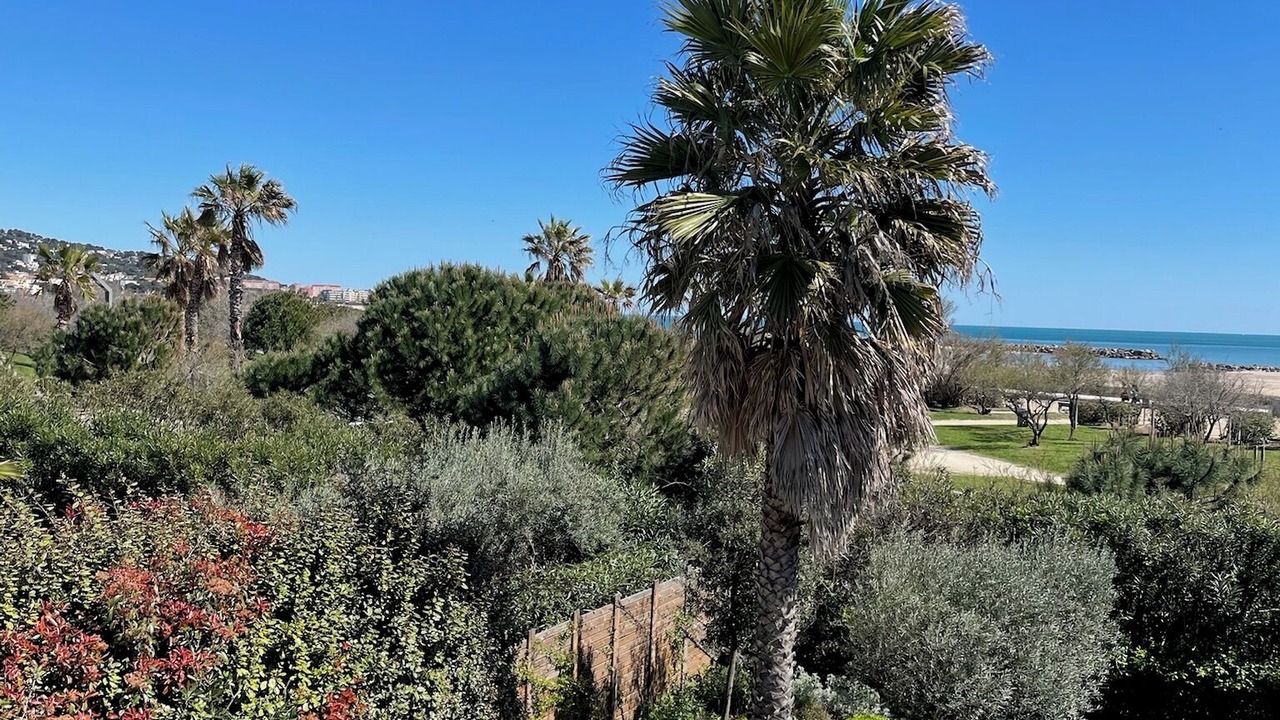 Photo of Outdoor in Sete