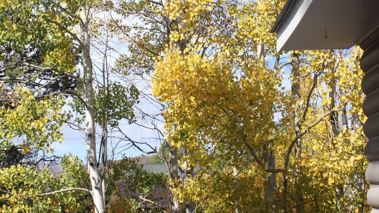 Photo of Outdoor in Grand Lake