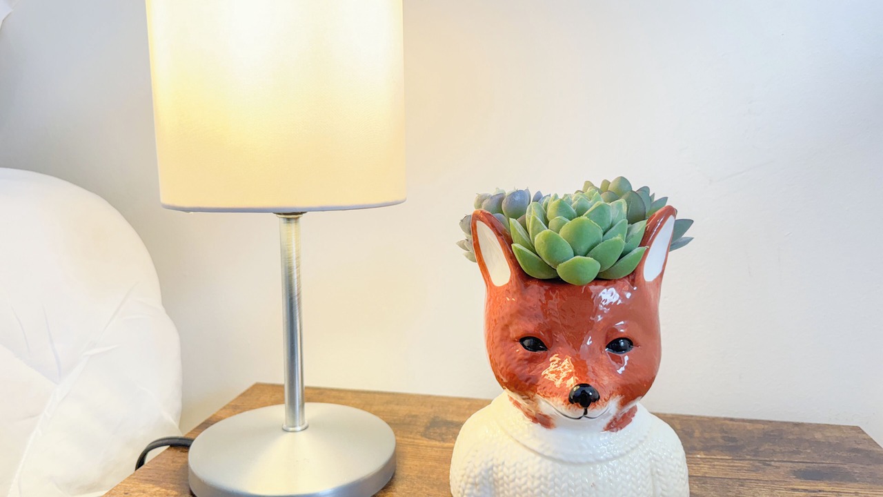 Photo of Others in West New York