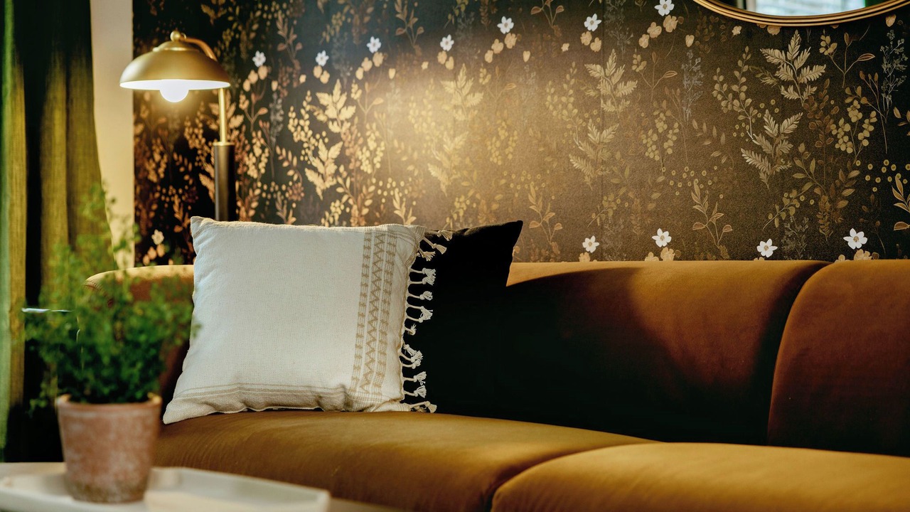 Photo of Livingroom in Forest