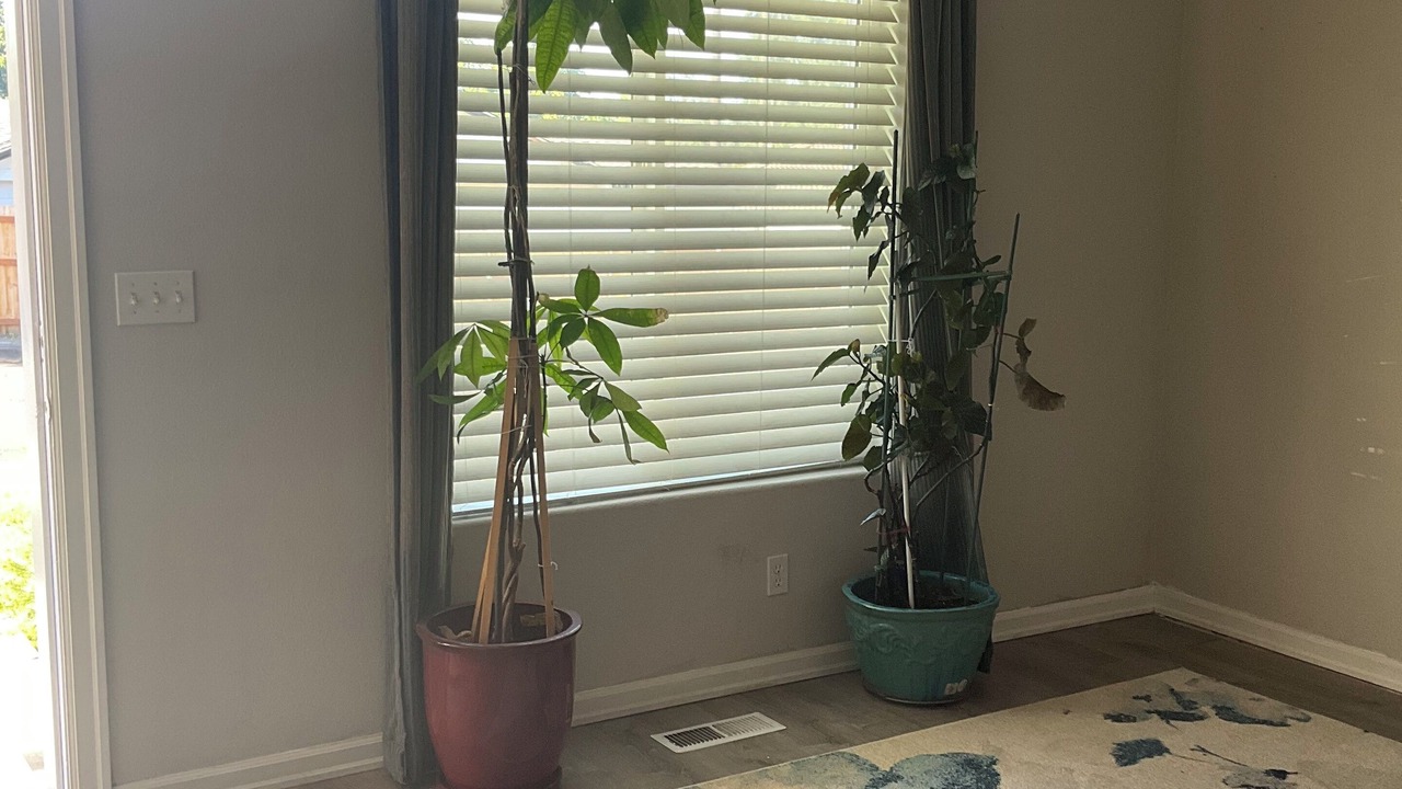 Photo of Others in Starcrest