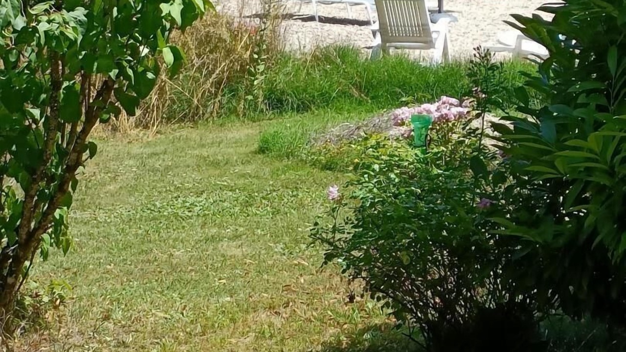 Photo of Patio Balcony in Albas