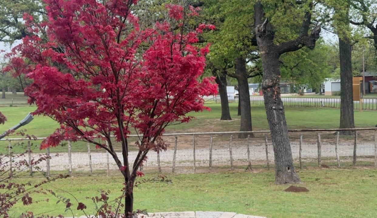 Photo of Outdoor in Weatherford