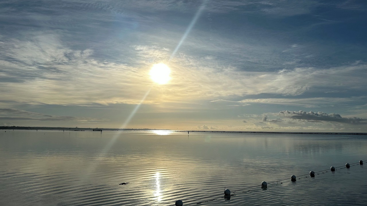 Photo of Others in Boca Chica