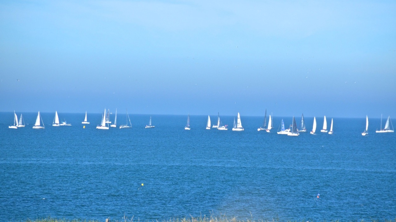 Photo of Others in Chateau-d'Olonne