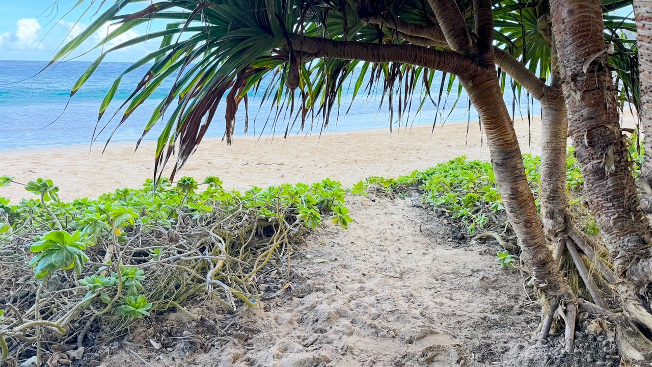 Photo of Others in Laie