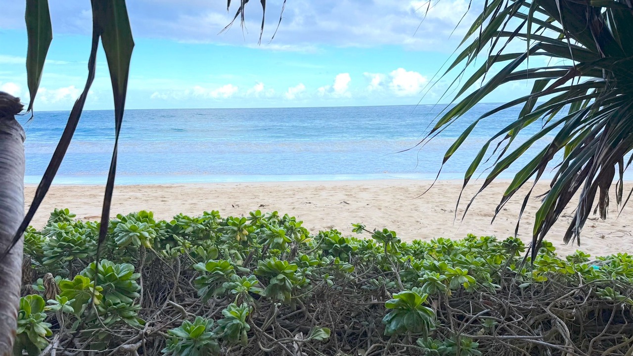 Photo of Others in Laie