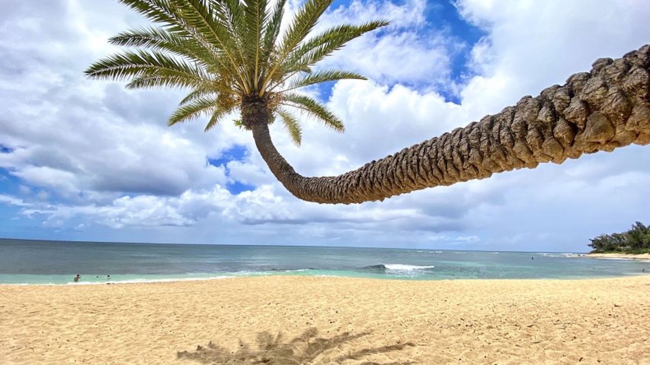 Photo of Others in Laie