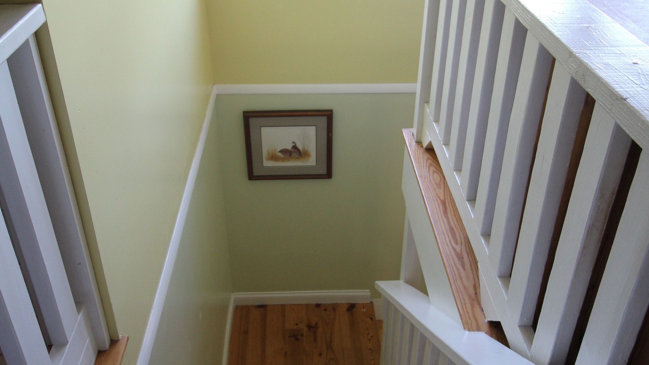 Photo of Others in Elkland