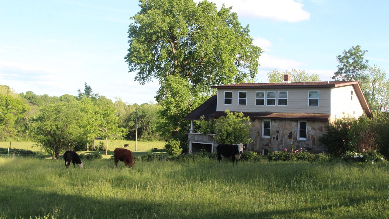 Photo of Others in Elkland