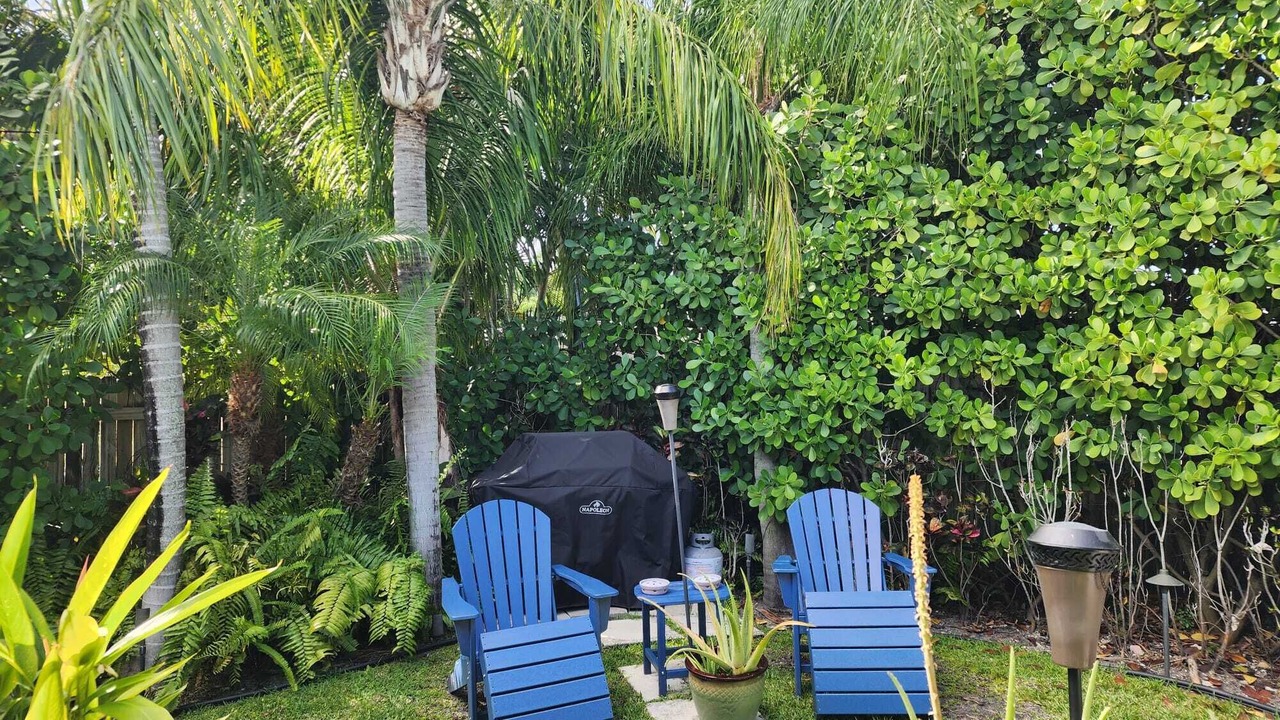 Photo of Outdoor in South Corals