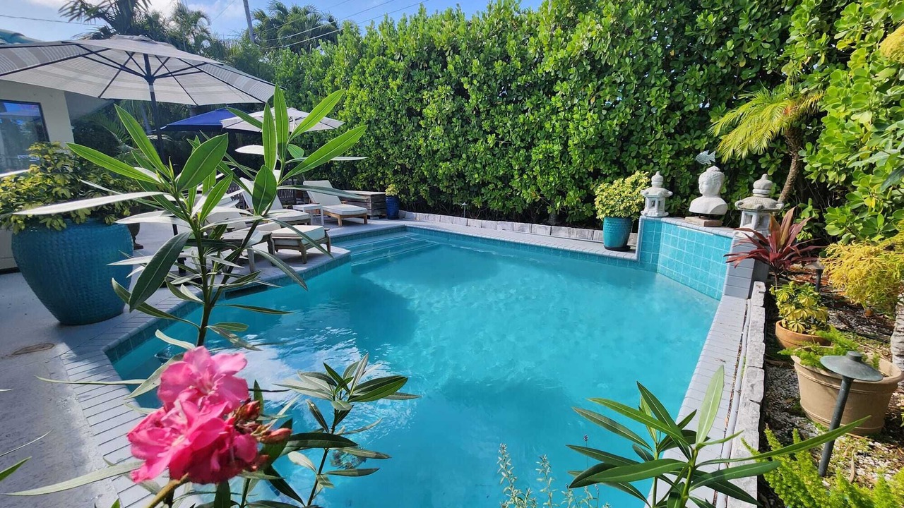 Photo of Outdoor in South Corals