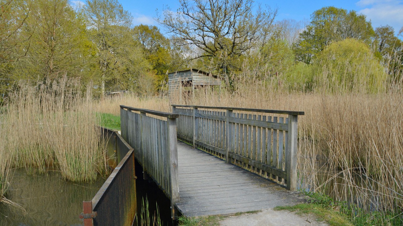 Photo of Others in Aubigny-sur-Nere