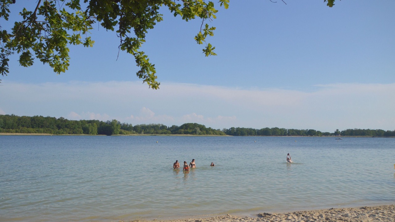 Photo of Others in Aubigny-sur-Nere