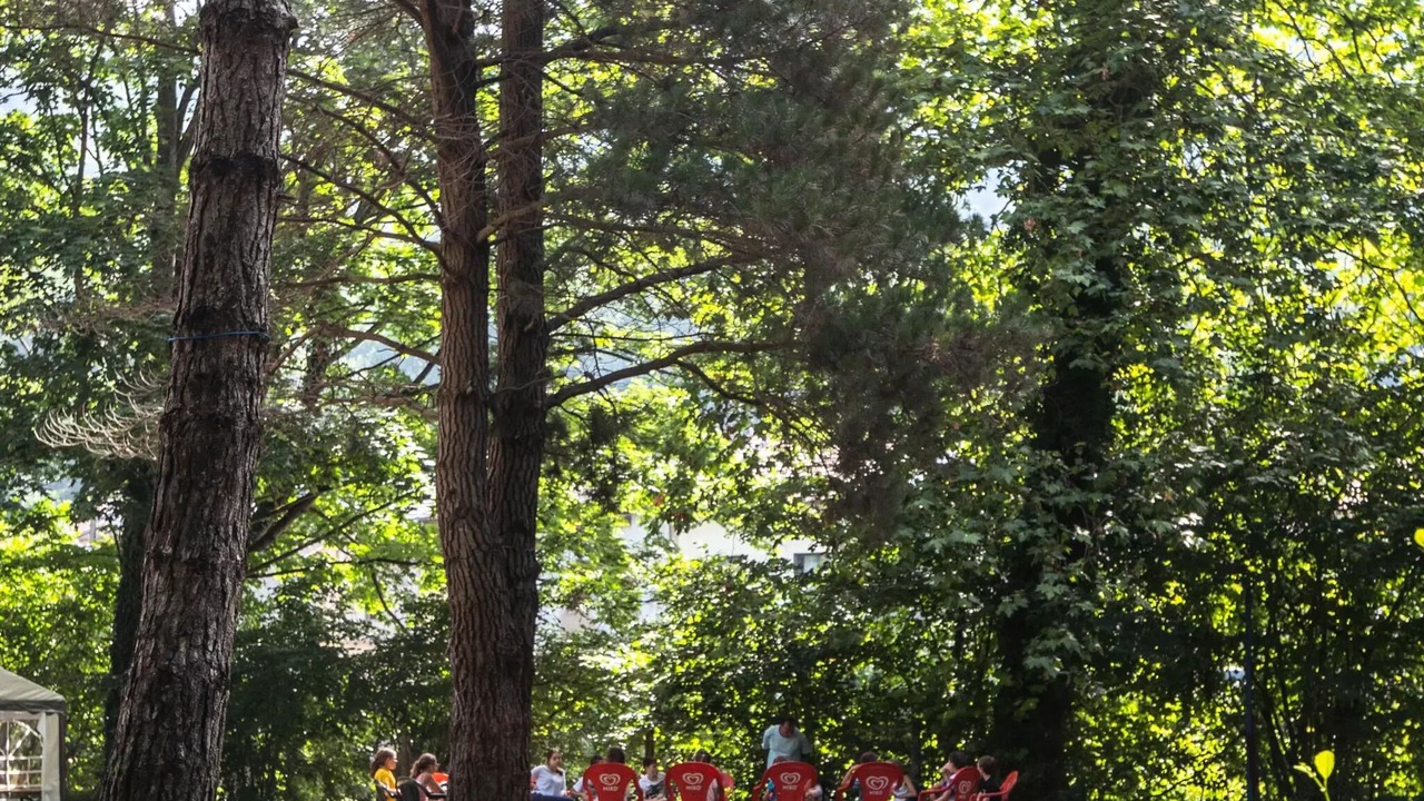 Photo of Others in Alliat