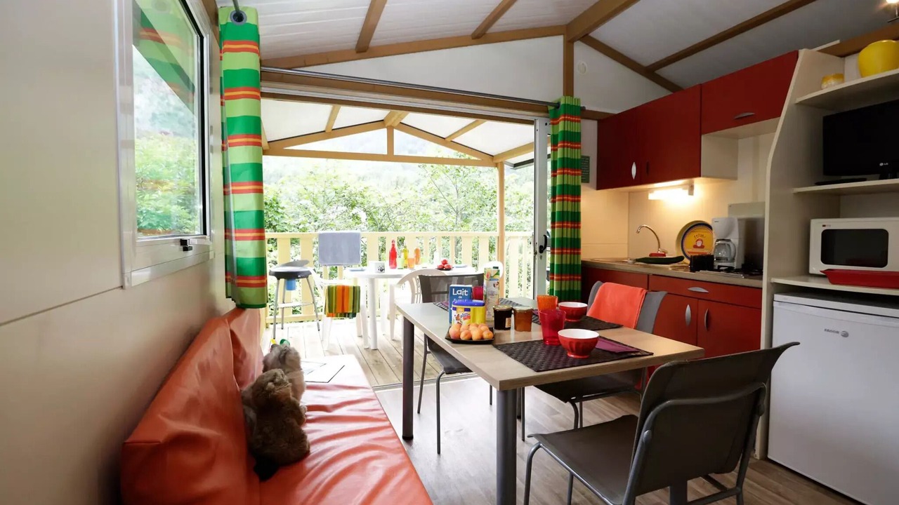 Photo of Others in Alliat