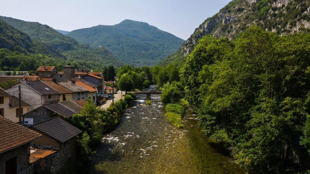 Photo of Others in Alliat