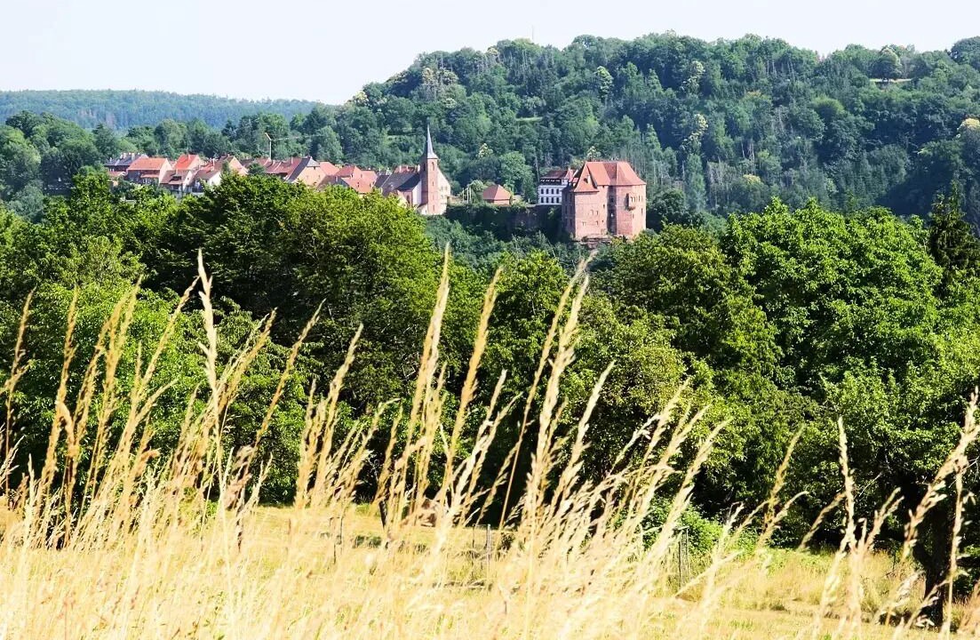 Photo of Others in La Petite-Pierre