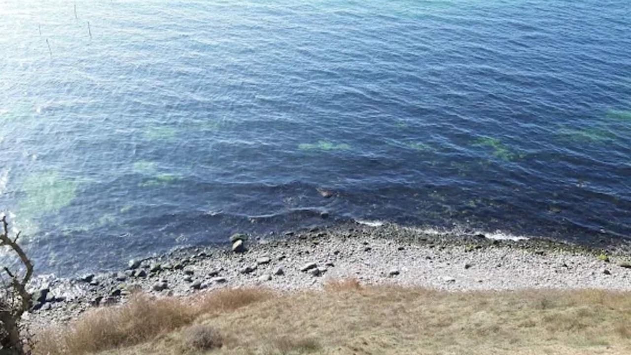 Photo of Others in Ristinge