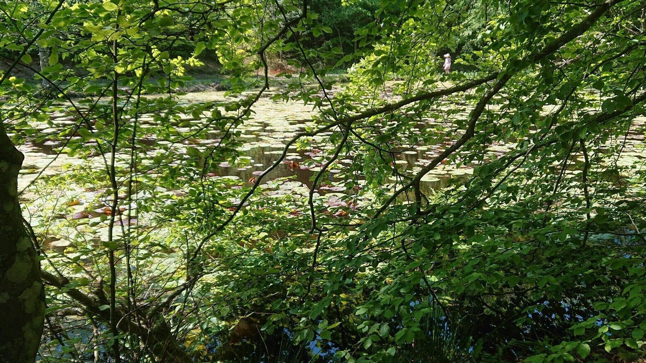 Photo of Others in Skiveren