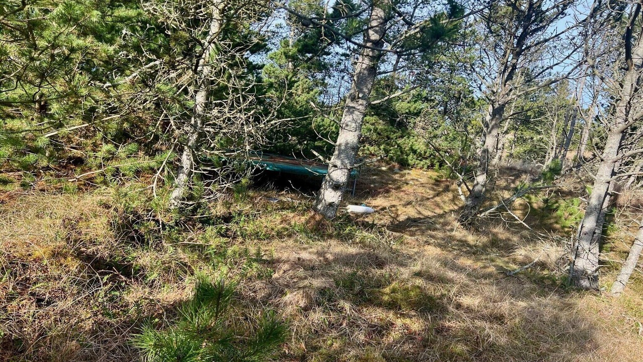 Photo of Others in Skiveren