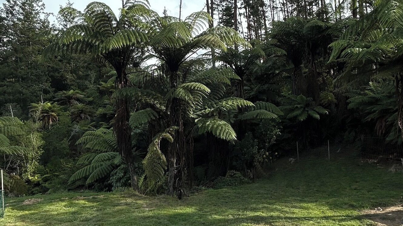 Photo of Outdoor in Omanawa