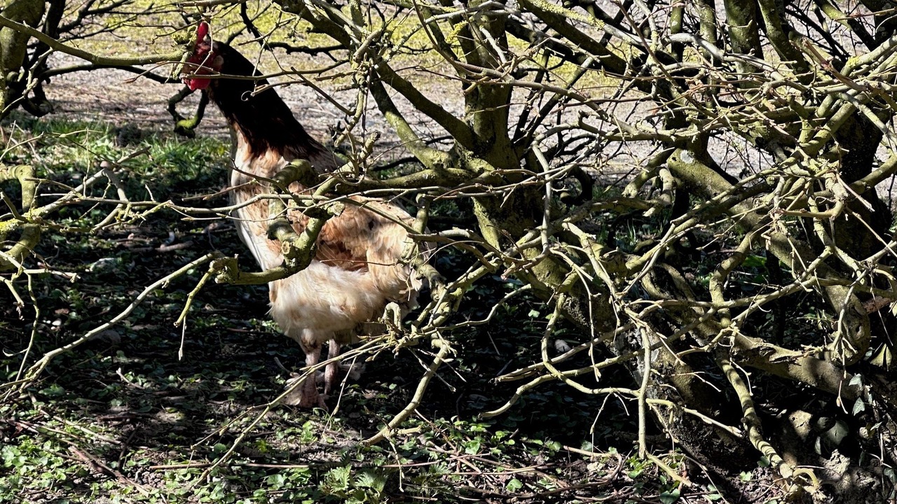 Photo of Outdoor in Hadsund