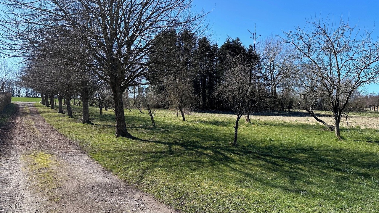 Photo of Outdoor in Hadsund