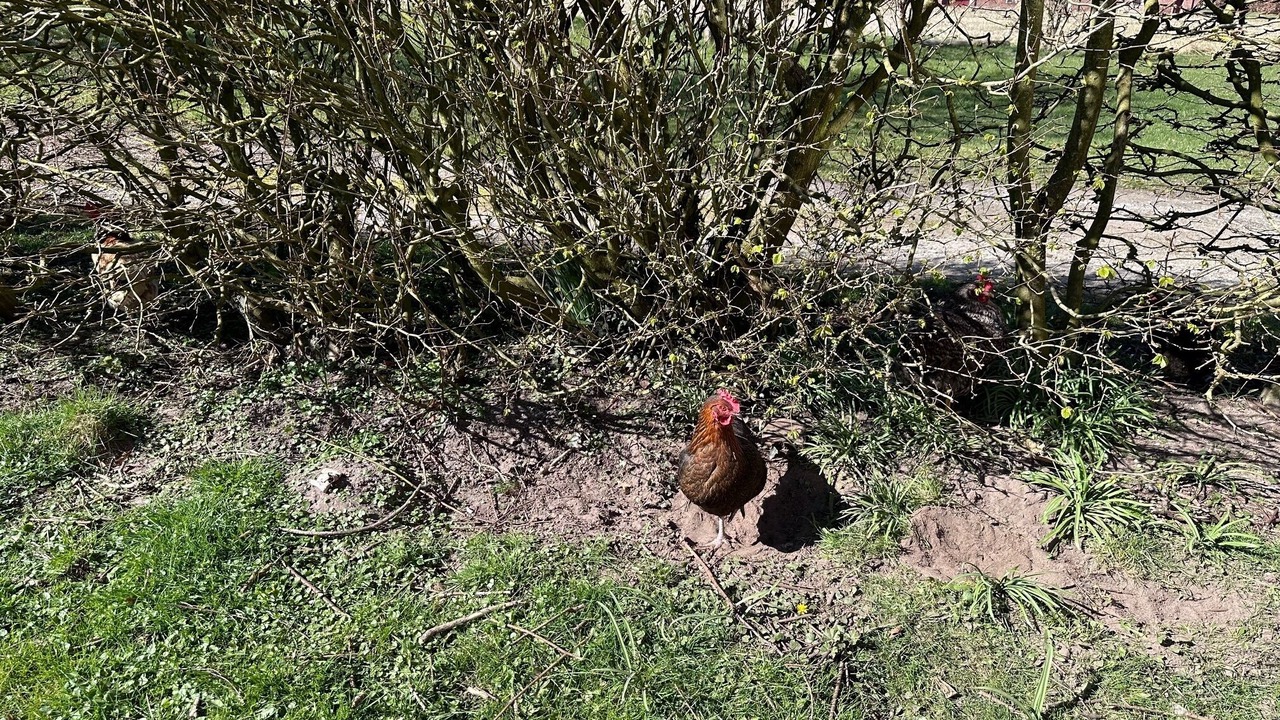 Photo of Outdoor in Hadsund