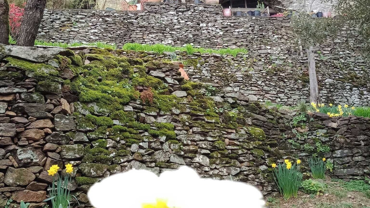 Photo of Outdoor in Chambon