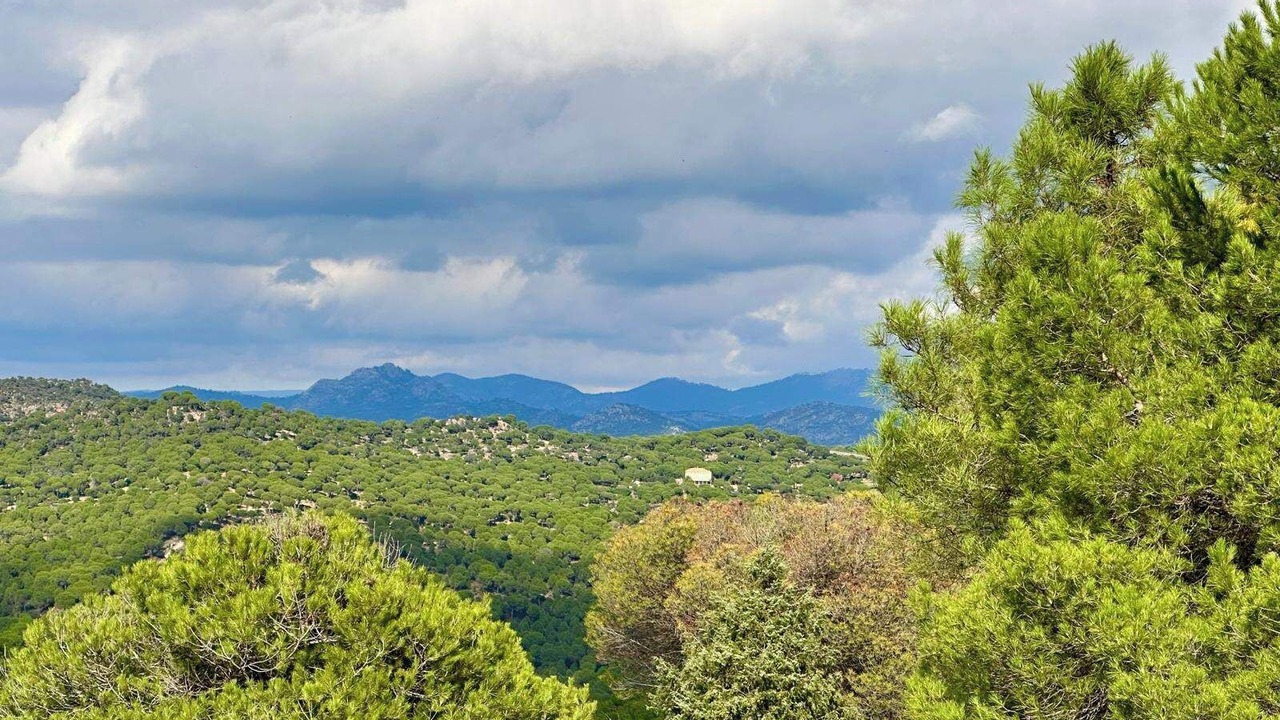 Photo of Others in San Martin de Valdeiglesias