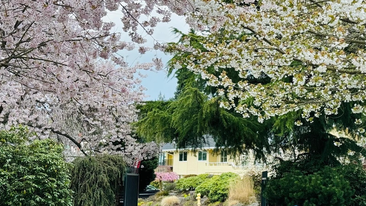 Photo of Outdoor in The Bowl of Edmonds