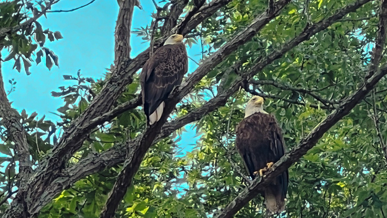 Photo of Others in Dover