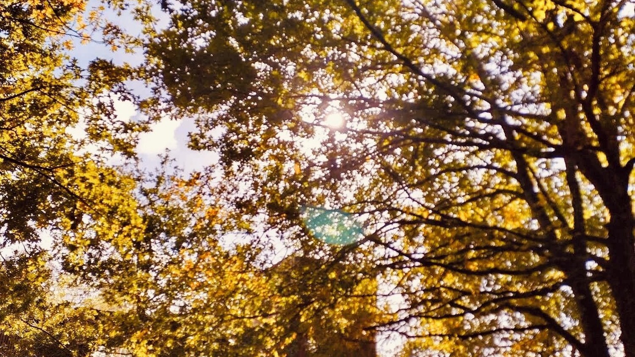 Photo of Others in Talais