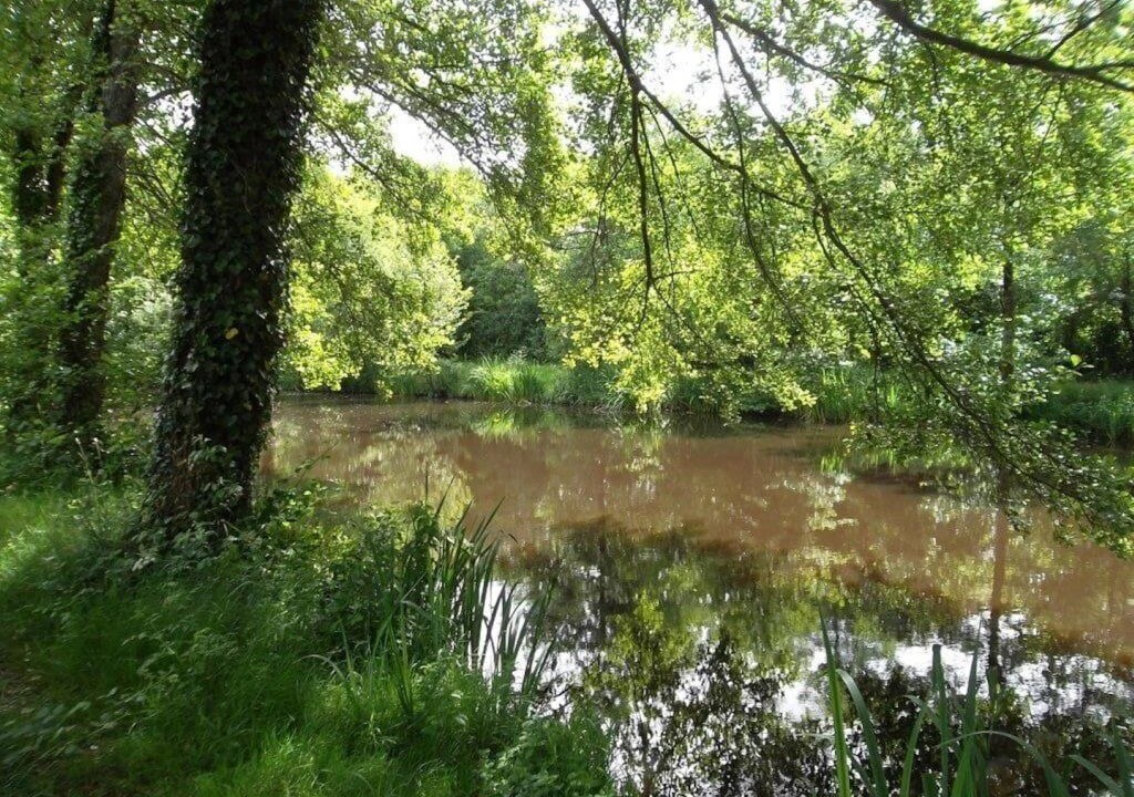 Photo of Others in Avrille