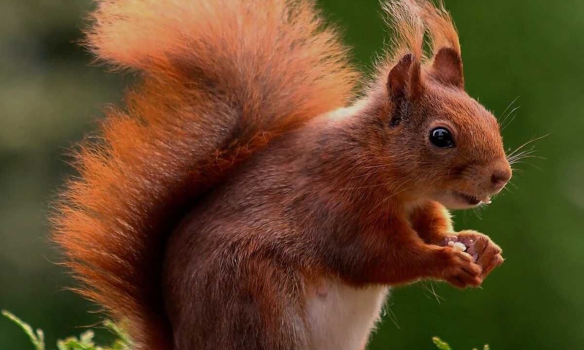 Photo of Others in Montjoie-en-Couserans