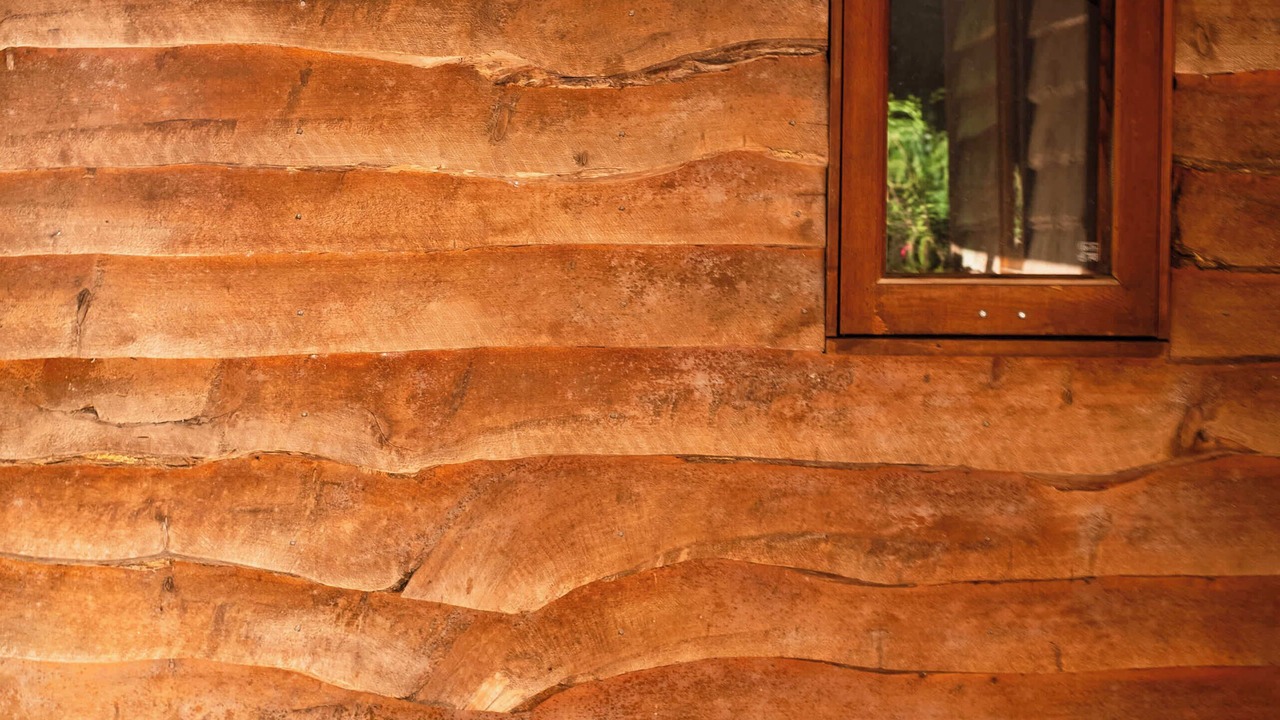 Photo of Outdoor in Stirling