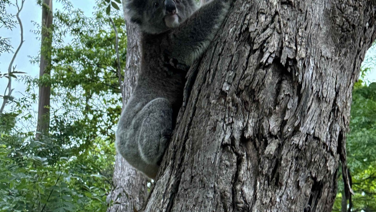 Photo of Others in Stirling